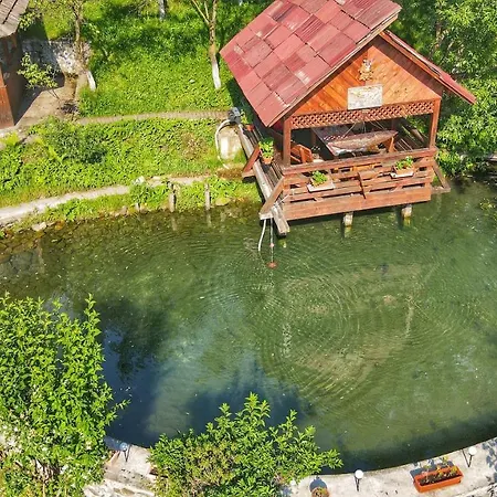 Restaurant Nagy Ξενοδοχείο